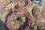 K9 Unit mobilised to address theft of copper cables in Kanon, Mossel Bay