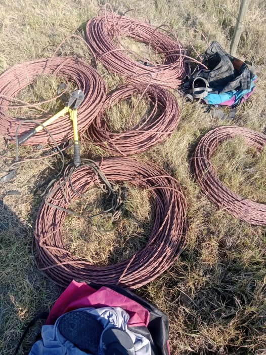 K9 Unit mobilised to address theft of copper cables in Kanon, Mossel Bay