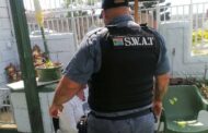 Suspect Arrested After Allegedly Stealing Jewellery from Elderly Woman, in Trenance Park, Phoenix