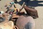 Burglary Suspect Released After Arrest/Recovery: Everest Heights - KZN