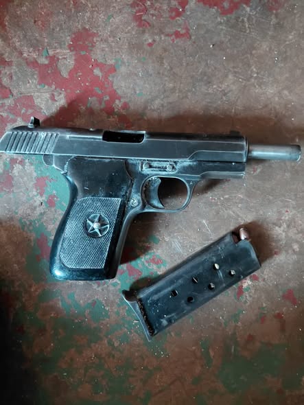 A female suspect arrested for possession of unlicensed firearm and ammunition in Musina