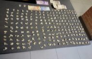 Bloemfontein Anti-Gang Unit nabs suspect with drugs worth R11 000