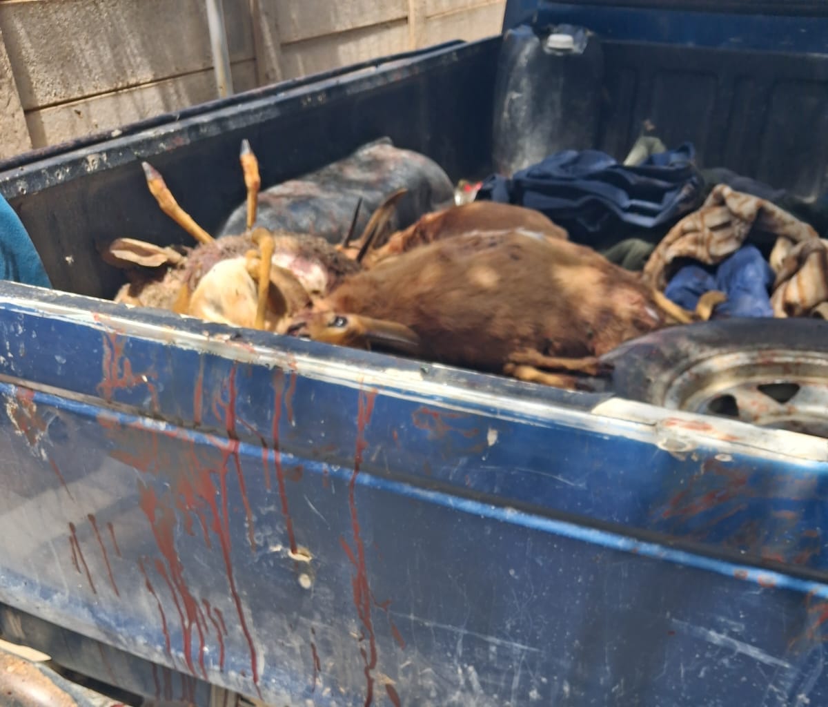 Three suspects arrested for illegal hunting in Loxton