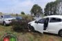 Three suspects arrested for illegal hunting in Loxton