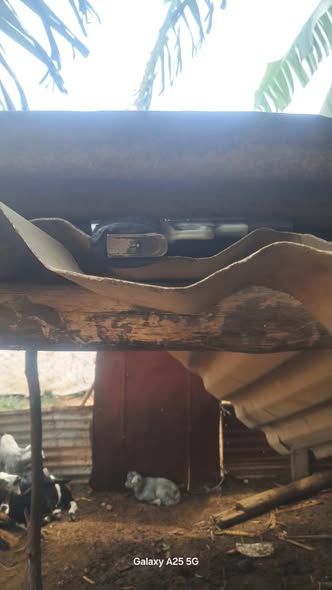 Suspect appears in Namakgale Magistrate's Court for attempted murder and unlawful possession of firearm