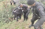Elderly man rescued after falling down an embankment: Brindhaven - KZN