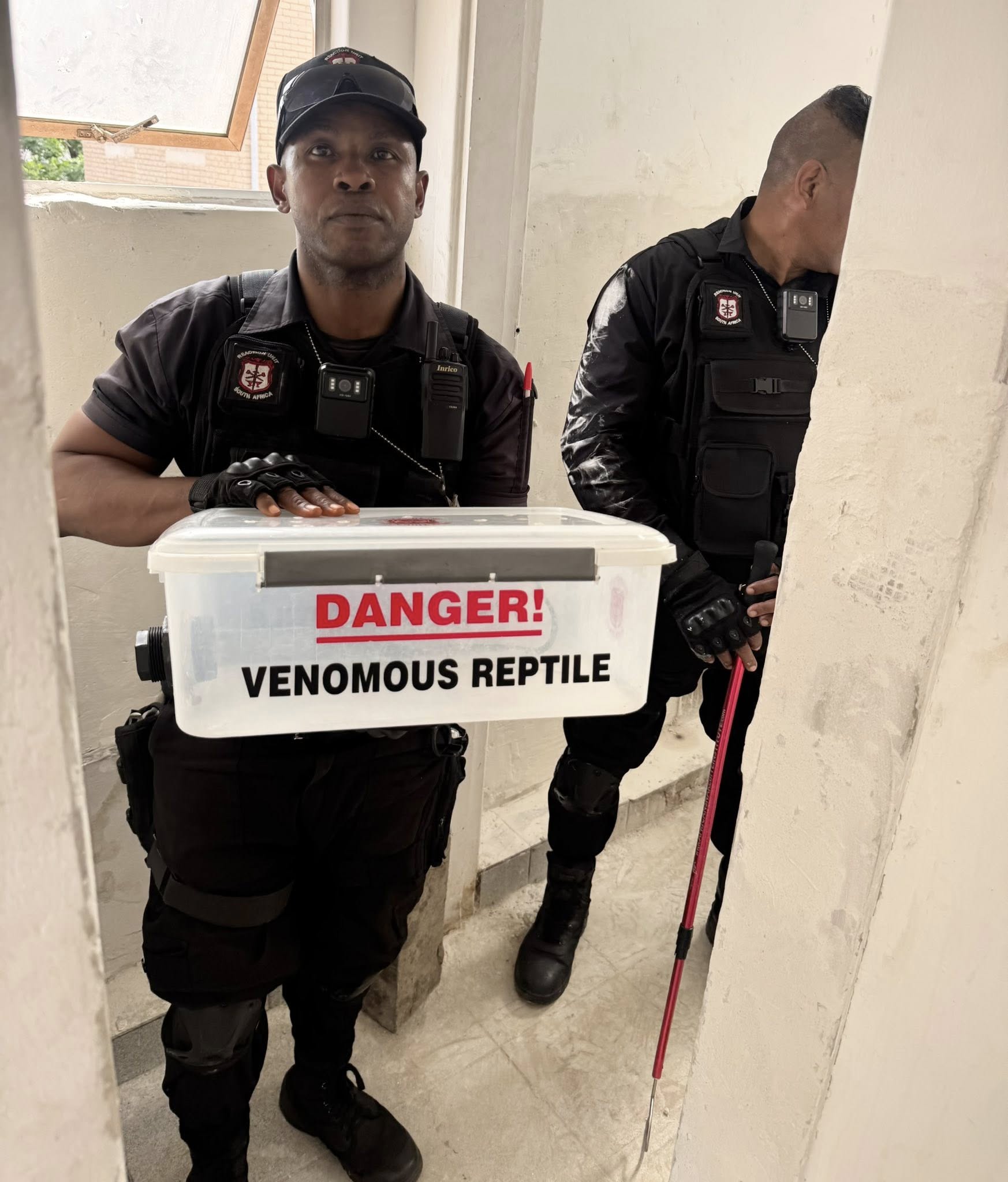 Three (3) Snakes Found In Building: Verulam CBD - KZN