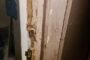 The Police have launched a manhunt after six suspects escaped from lawful custody at the Lydenburg Police Station