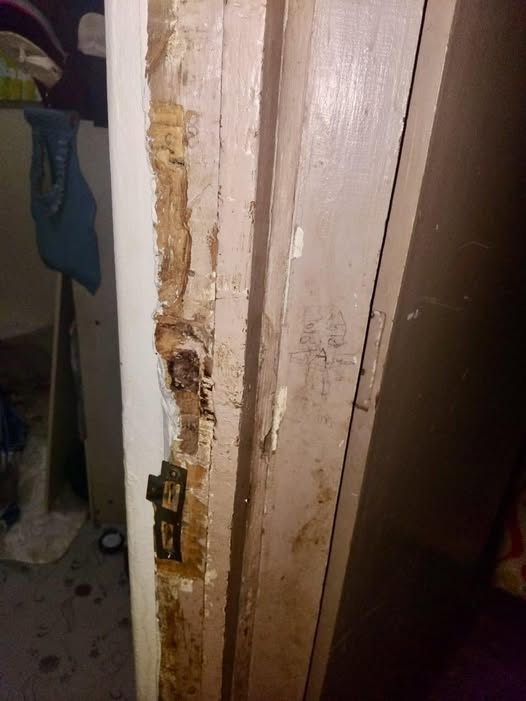 Armed Robbery: Buck Road, Waterloo - KZN