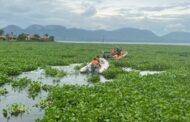 NSRI Urges Extreme Caution for Boaters on Hartbeespoort Dam Amid Dangerous Hyacinth Conditions