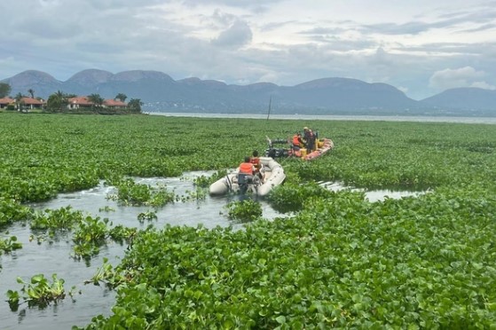 NSRI Urges Extreme Caution for Boaters on Hartbeespoort Dam Amid Dangerous Hyacinth Conditions
