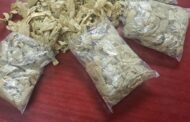 Suspect arrested for possession of drugs
