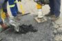 Four suspects arrested at Nquthu for conspiracy to commit an armed robbery and possession of an unlicensed firearm
