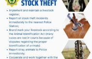 Police search for owners of seven cattle that were found at an auction in Mokopane
