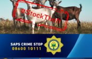 A #StockTheft case has been opened by the police in Motetema under Sekhukhune District