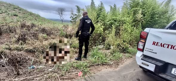 Unidentified Circumstances Surround Discovery Of Body: Tongaat - KZN