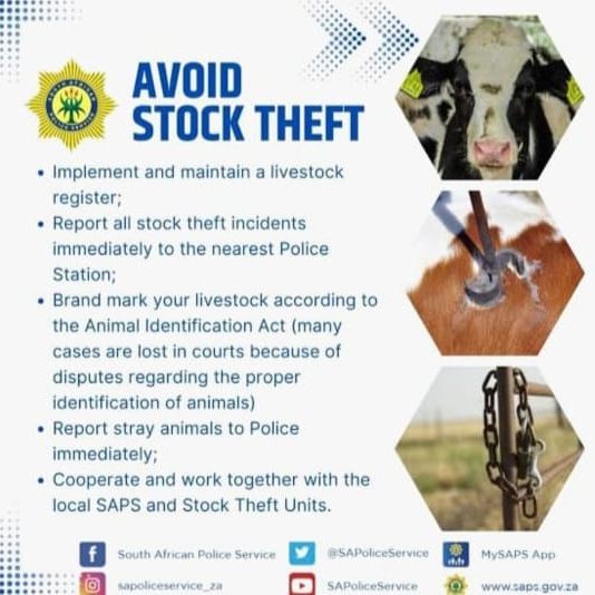 Warning of an increase in stock theft during the Festive Season