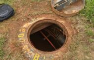 Honeydew CPF and Beagle Watch Apprehend 2 Suspects for Cable Theft
