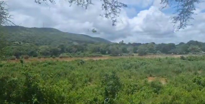 The search for the missing SANDF member is continuing