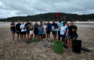 Mossel Bay Municipality clarifies the cause of the recent fish mortality which occurred in the Hartenbos Estuary