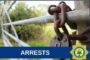 Flying Squad apprehends housebreaking suspects
