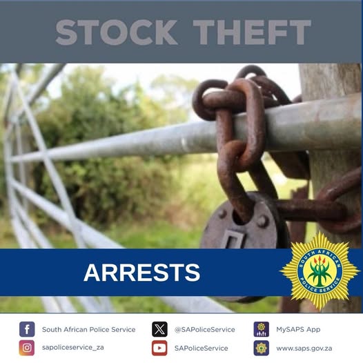 Four suspects nabbed for stock theft related charges at separate locations in Vhembe District