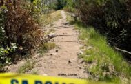 Fatal electrocution on Main Road, Lanquedoc, Pniel