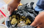Parolee arrested at Standerton Correctional Centre after he attempted to smuggle dagga and a cellphone into the prison cells