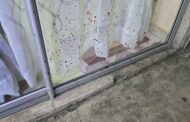 Pitbull Attack on Homeowner Rockford Drive, Phoenix