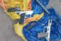 Female arrested for the fraudulent purchase of a vehicle