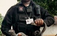 Highly Venomous Snake Captured: Ndwedwe - KZN
