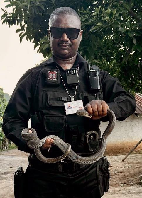 Highly Venomous Snake Captured: Ndwedwe - KZN