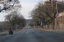 Black Mamba Captured In Wardrobe: Redcliffe - KZN