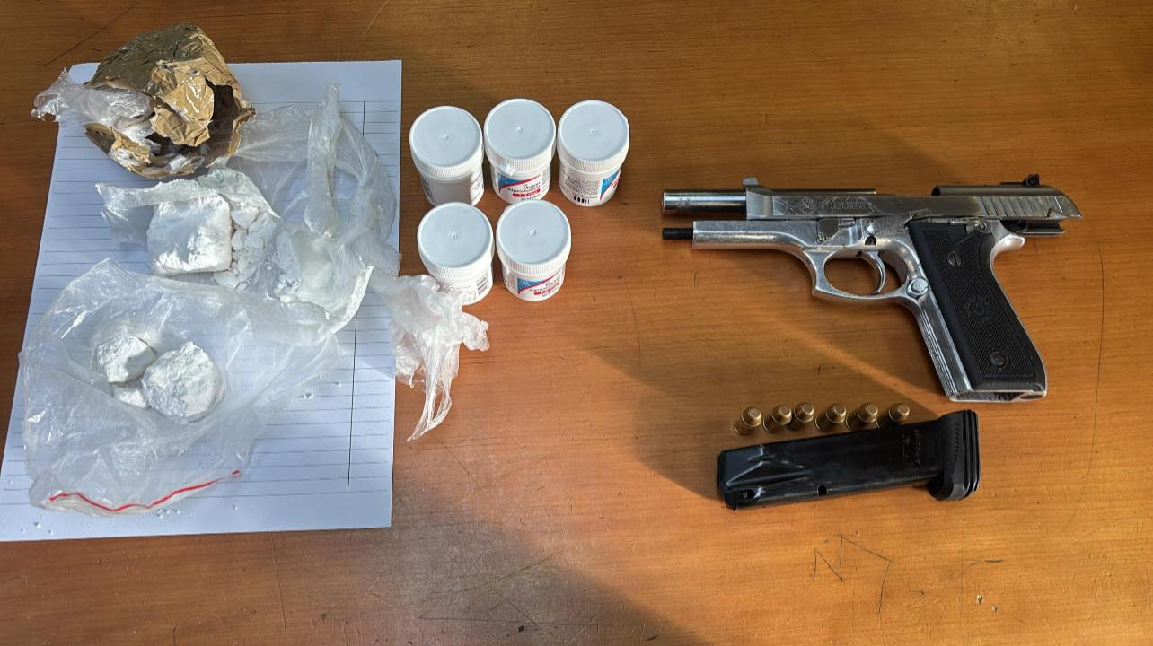 Suspects arrested for the illegal possession of a firearm and ammunition in Delft
