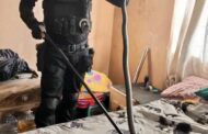 Black Mamba Captured In Wardrobe: Redcliffe - KZN
