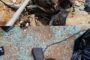 Two brothers arrested for unlawful possession of unlicensed firearms and ammunition at Bhojini locality in Willowvale