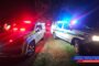 Narrow escape for group of kennel dogs after a runaway veld fire