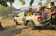 Narrow escape for group of kennel dogs after a runaway veld fire