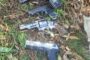 Highly Venomous Black Mamba Captured On Farm: Gwala Farm - KZN