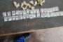Female patient treated after experiencing active seizures in Rietfontein