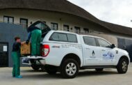 Ford marks World Penguin Day by supporting SANCCOB's efforts to protect endangered African penguins