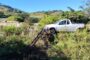 Successes in crime prevention in the Western Cape