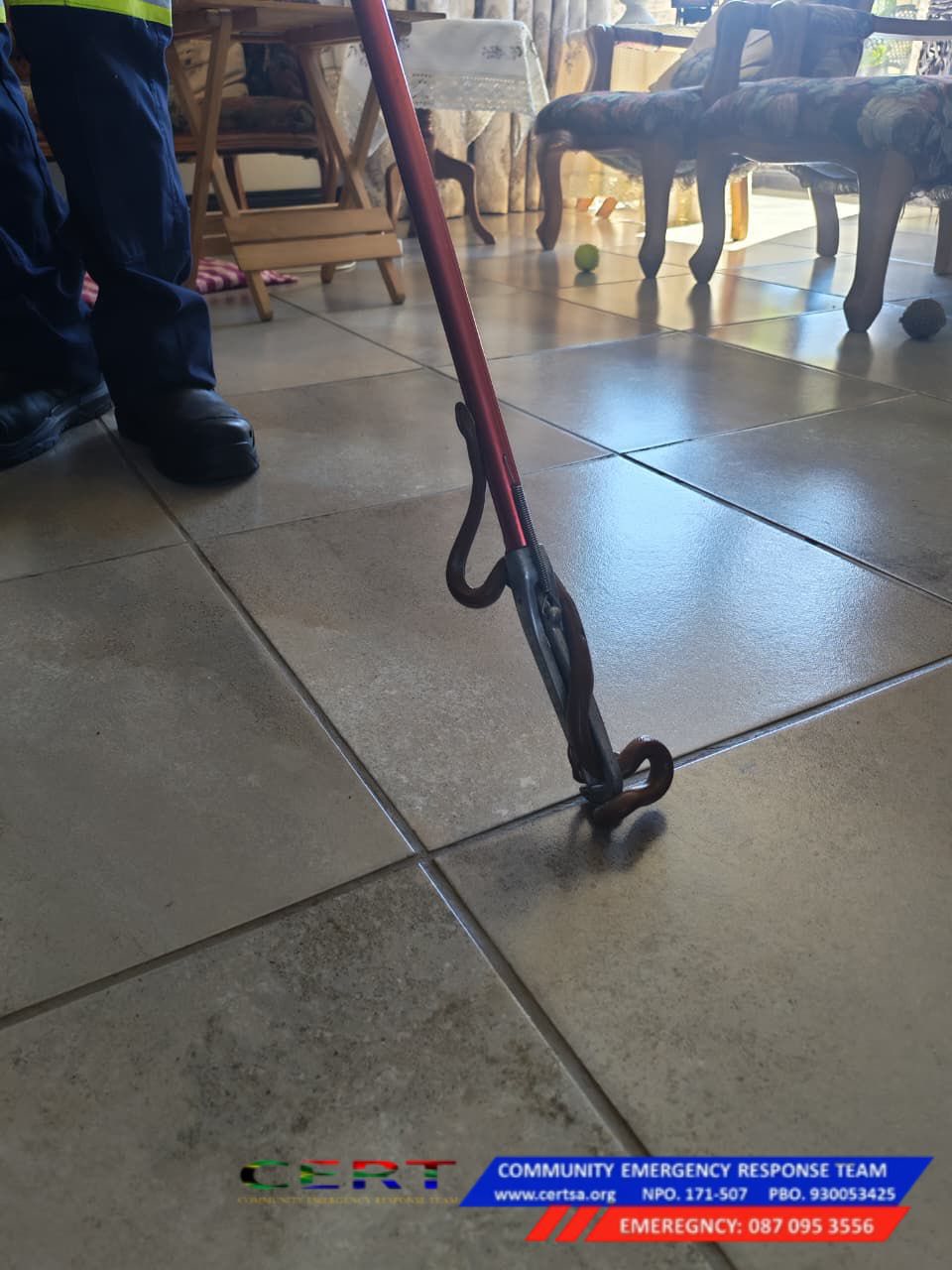 Snake removed from elderly couples's bathroom in Meyerton