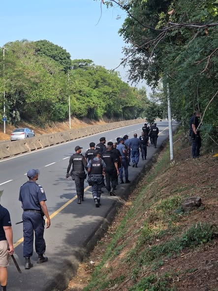 Ongoing crime prevention operations were conducted by Durban North