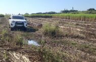 Armed Robbers Strike In Sugarcane Plantation: Greylands - KZN