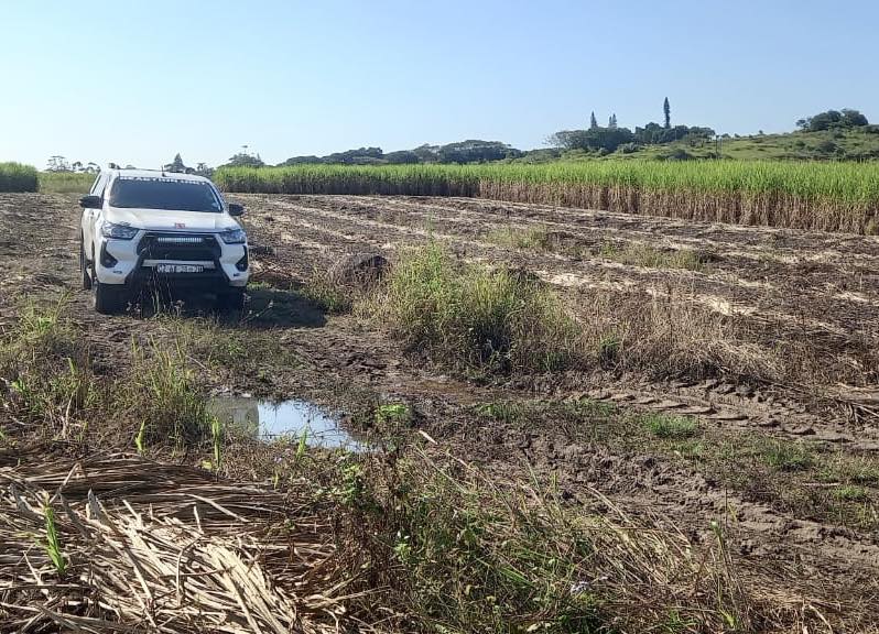 Armed Robbers Strike In Sugarcane Plantation: Greylands - KZN