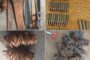 The City of Cape Town received a record 1 155 requests related to fallen trees and branches between 10 and 12 May