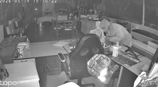 Burglary Suspect Captured On CCTV: Parkgate - KZN