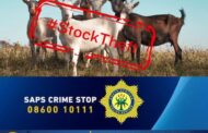 Stock theft suspect arrested at Aberdeen
