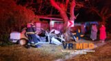 Vehicle crashed into a tree on De la Rey Road in General de Wet, Bloemfontein